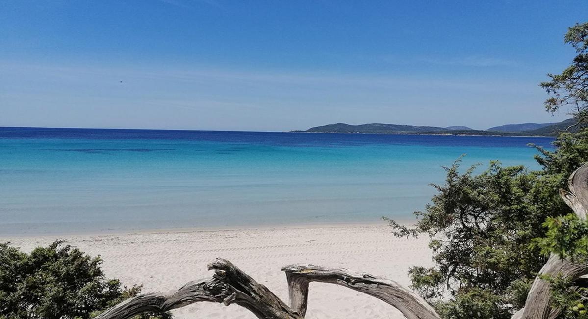 Appartamento Lo Scrigno Di Ely Alghero Esterno foto