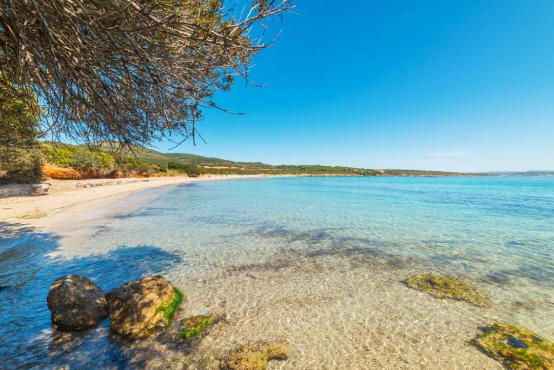 Appartamento Lo Scrigno Di Ely Alghero Esterno foto